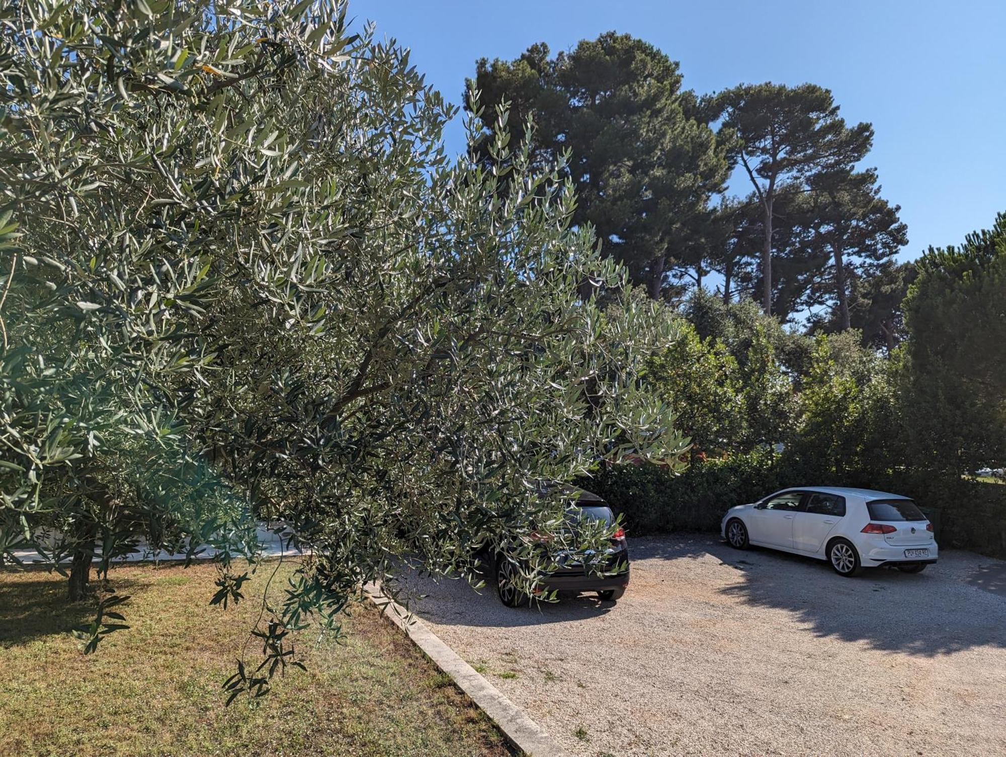 The Best Sunset Apartments Rovinj Exterior foto